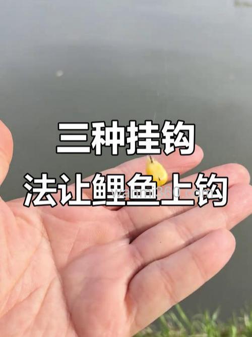谷子钓鱼绝招:专攻野生大鲤鱼,避开小鱼闹窝的野钓技巧