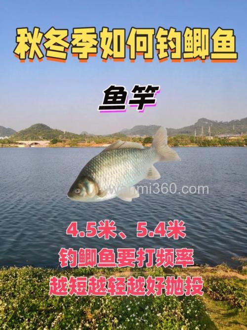 青海大学周边野钓鲫鱼地点与装备选择指南,新手也能有收获
