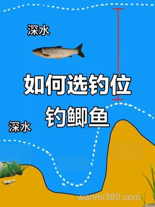 端午水库野钓鲫鱼技巧分享,选位用饵全攻略