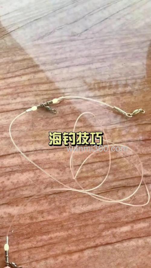 海钓技巧直播教学:新手入门到爆护全攻略