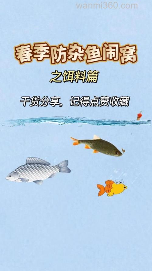 新手野钓技巧二:二月下旬小鱼闹窝怎么办?避开杂鱼妙招
