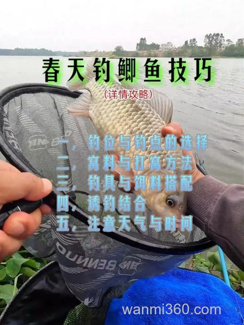 春天野钓鲫鱼技巧:选钓位与追温追食攻略