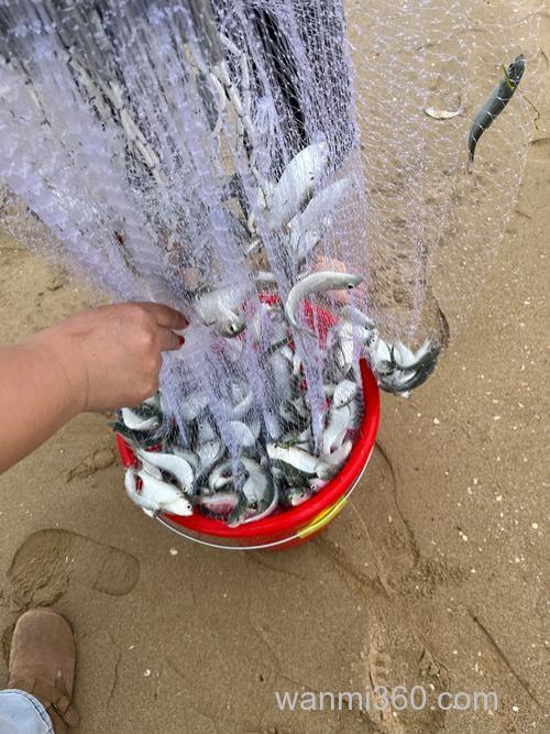 海钓抓黄金三秒刺鱼,手刹轮这样用才不跑鱼
