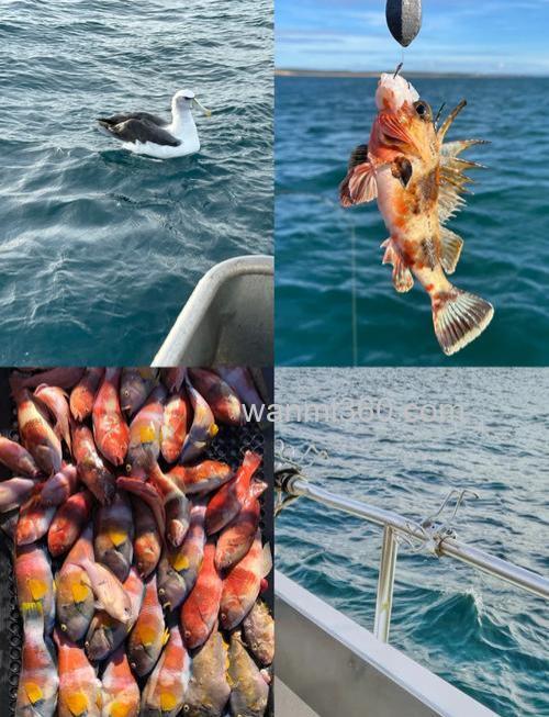 外国海钓技巧:春季鱼群藏哪了?二月底三月初实战经验