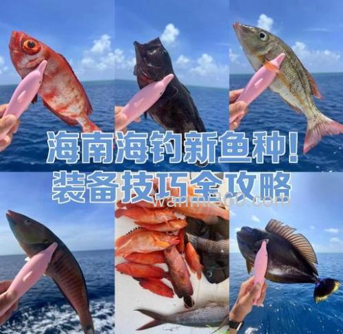 海钓怎么赚钱?选对鱼种和用好装备是关键
