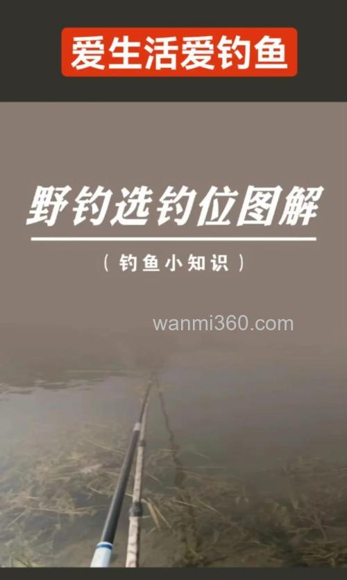 东北野钓卖鱼攻略:最佳时间地点与热门鱼种选择技巧