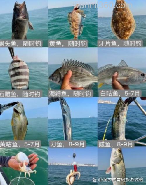桥底海钓怎么选点?装备技巧全解析