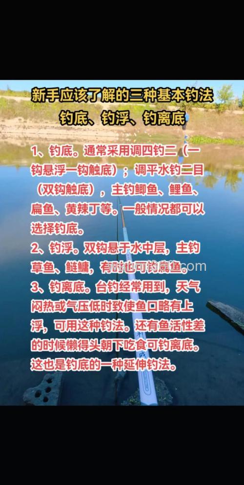 随州台钓技巧解析:钓点选择与饵料配方实战指南