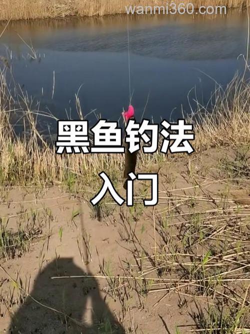 浅谈适合垂钓黑鱼的季节与钓组配置技巧