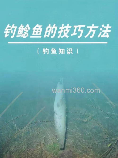 闸口手竿钓获鲶鱼的技巧
