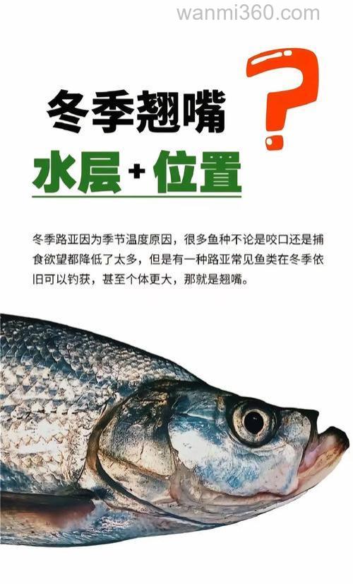 冬天海钓怎么玩?掌握这几点,天冷也能钓到大鱼