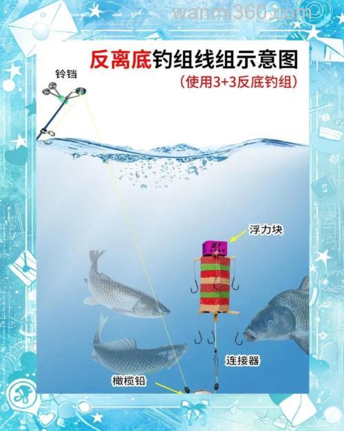 海钓白鲢怎么钓?选点与用饵技巧全解析,提升你的中鱼率