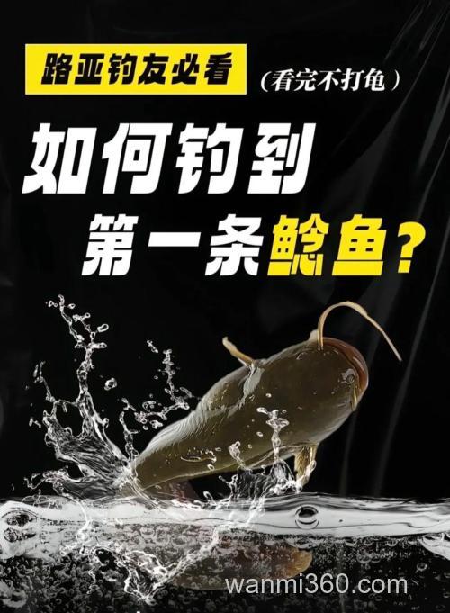 浅谈鲶鱼的传统钓法与路亚方法(上)