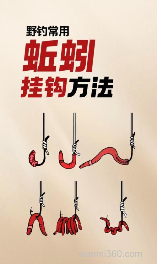 老钓友分享:用蚯蚓钓野鲫鱼的4个关键技巧,让你连杆爆护