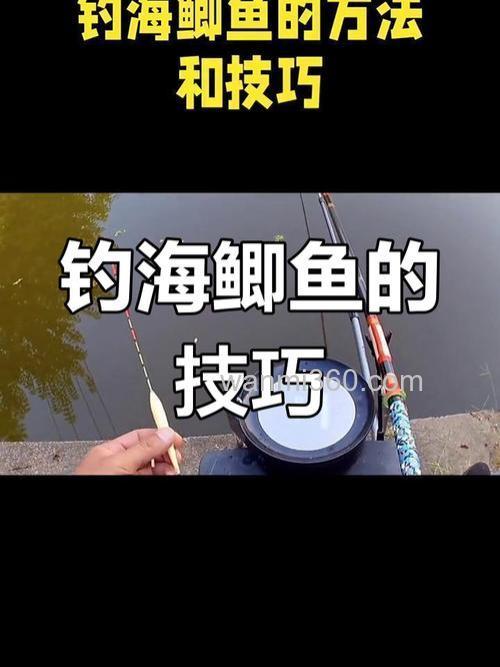海钓金鱼实战技巧:选对钓点用对装备,告别空手而归