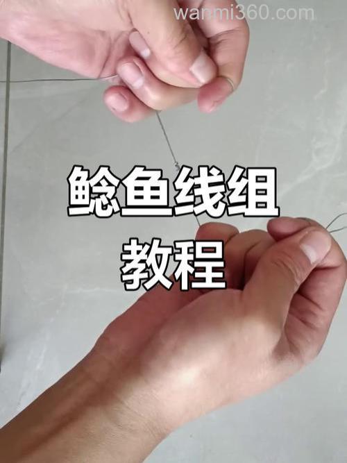 春季钓鲶鱼钓组搭配与用饵技巧