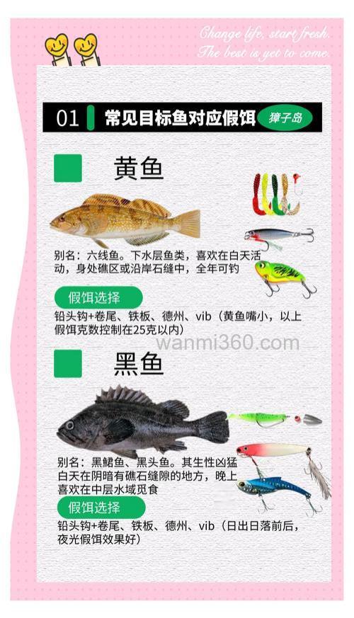 海边路亚海鲈:一看就懂的潮汐时机与假饵选择技巧