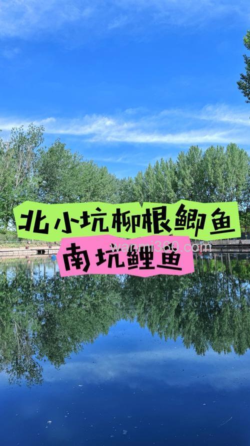 石家庄野钓去哪?找靠谱本地群学技巧,避开禁钓区更安心