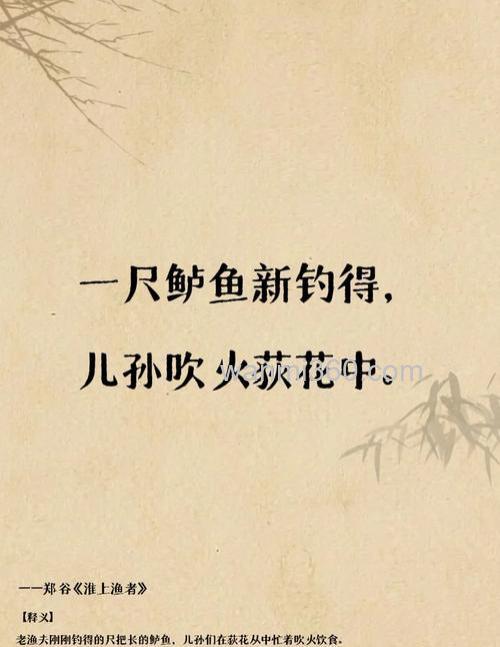 晚秋初冬钓草鱼莫说鱼封口草鱼照上钩