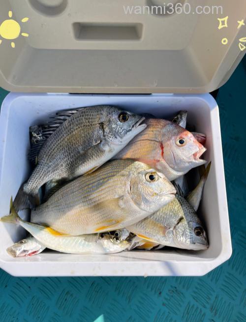 海钓鱼获保鲜秘诀:船上没冰桶?这几招让鱼肉鲜嫩如初