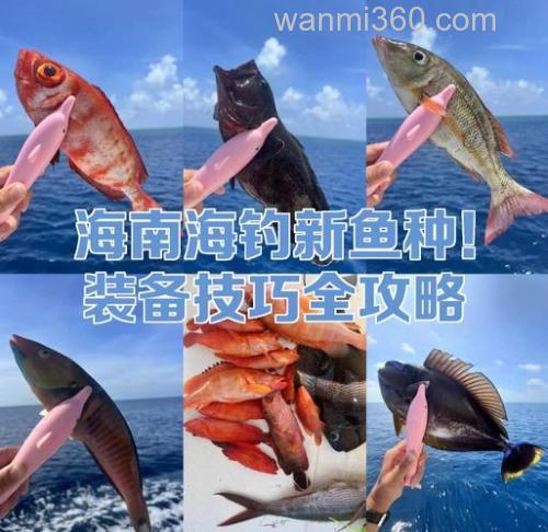 海南沿海钓马鲛鱼有啥技巧?装备、钓点、手法全解析