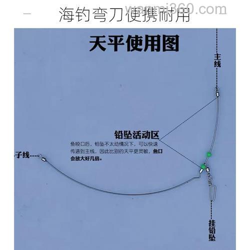 海钓剪线有啥讲究?啥时候该剪?用啥工具?一文说清