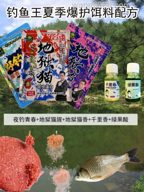 夏日鲫鱼王,饵料与钓法全攻略