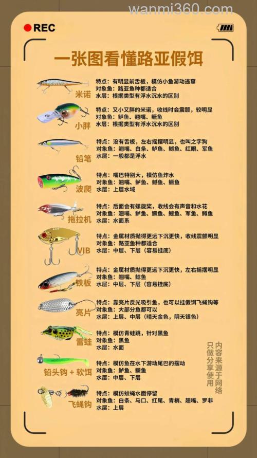 钓鱼饵料一传十怎么样,深度解析与实用指南