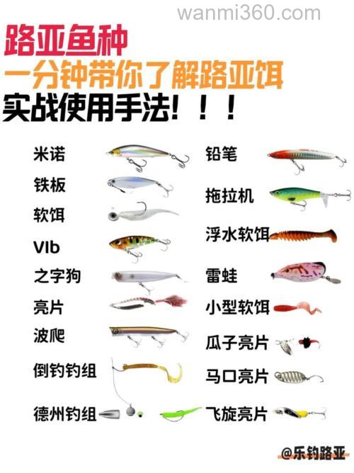 一学就会!一荤一素钓鱼饵料实战应用指南
