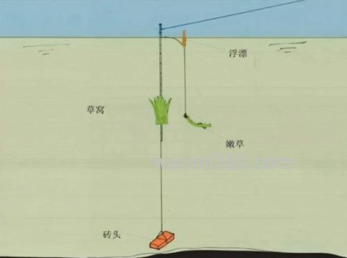 水库浮钓草鱼的钓位选择经验和钓法