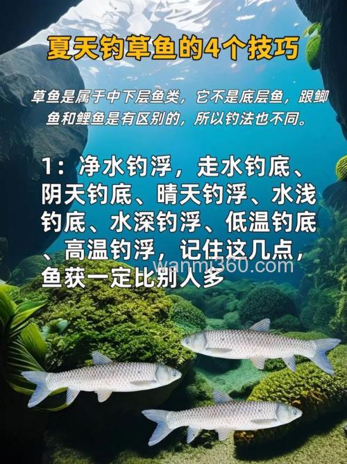 夏季垂钓大草鱼的实战方案技巧（下）