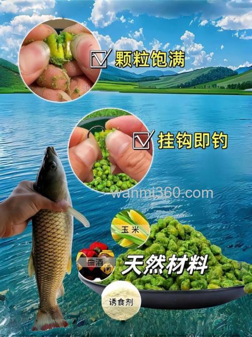 钓草鱼玉米还是商品饵