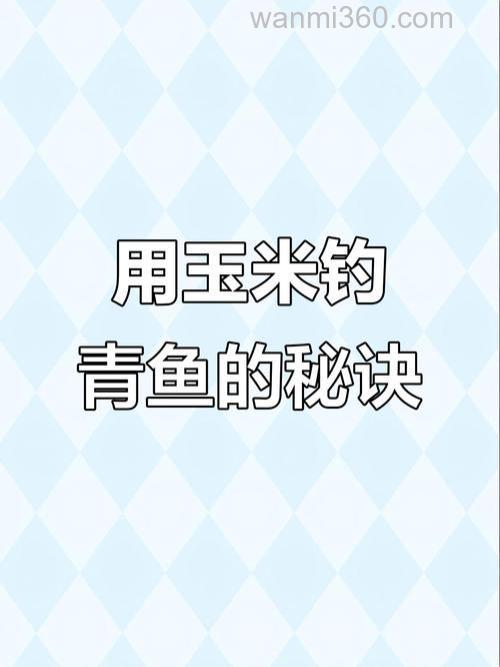 钓青鱼用玉米饵如何调钓?