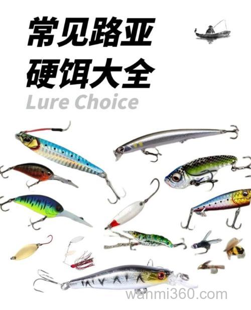 鱼饵品牌排名前10名:钓鱼爱好者的精品之八 Daijia路亚鱼饵
