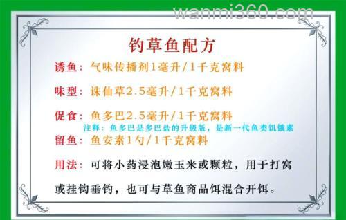 草鱼钓饵配置与钓位选择技巧
