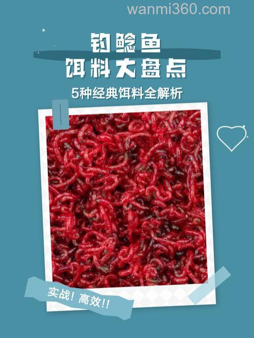 春天钓鲶鱼饵料