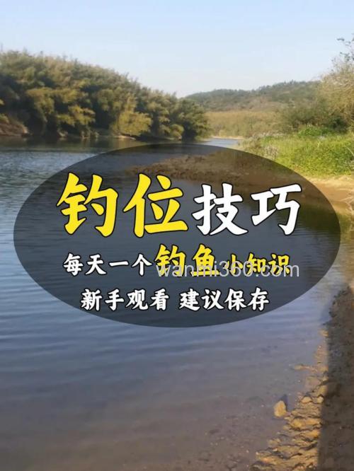 白河台钓实战指南:如何选钓位、配饵料?老张教你轻松上大鱼