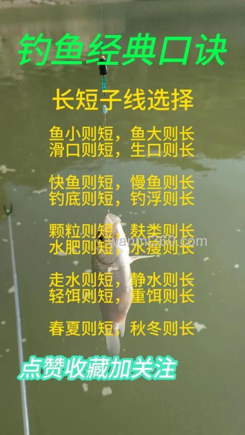 元江台钓技巧揭秘:掌握基本要点与季节策略,快速提升渔获量