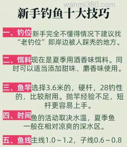 台钓技巧学习如何入门?从挫败到收获,小白进阶真实历程