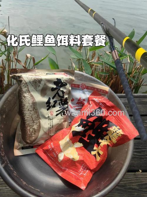 秋天用什么商品饵钓鲤鱼?
