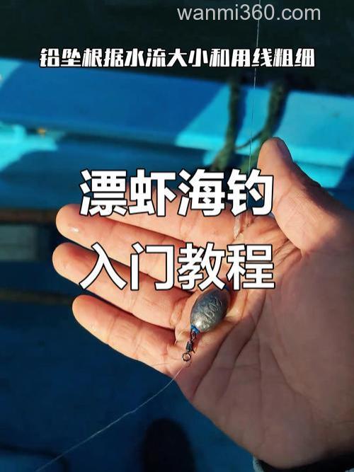 从新手到高手:虾海钓技巧全解析,避开弯路快速掌握诀窍