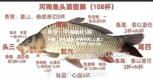 鲤鱼喜欢麝香还是酒味？