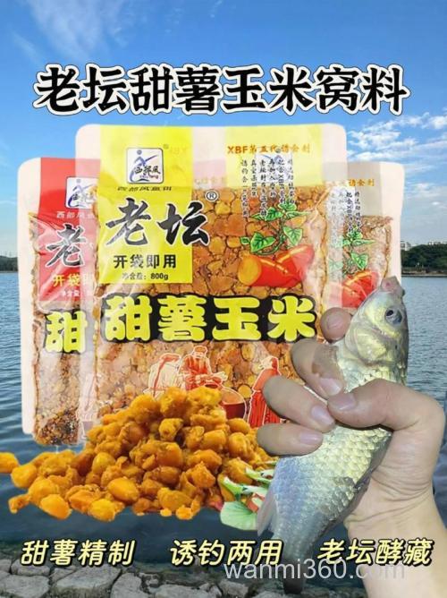 甜薯嫩玉米钓大鲫鱼管用吗?