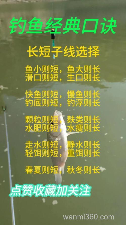 60岁野钓高手分享秘诀:如何突破瓶颈,让鱼获翻倍的实用技巧