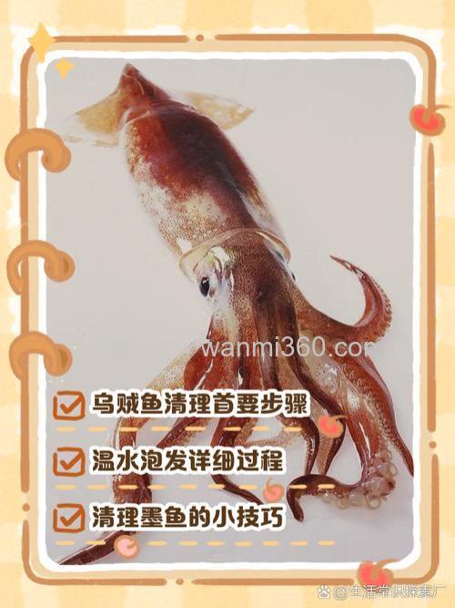 海钓乌鱼技巧大揭秘:从屡战屡败到满载而归,只需掌握这几点