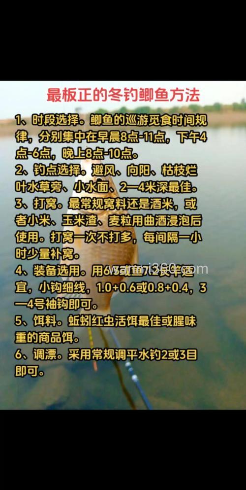 冬季钓鱼:拉饵闹小鱼搓饵没口如何改变?分享 5 个简单好用的技巧 w