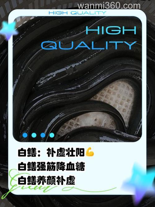 海钓白鳗仅靠运气?错!掌握这些技巧,让你成白鳗杀手