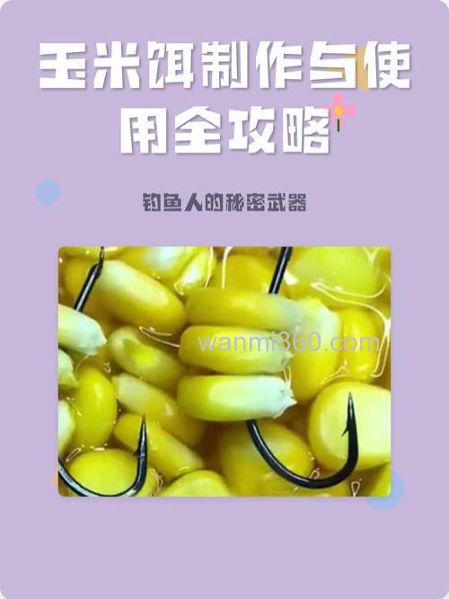 玉米怎样配鱼饵料配方