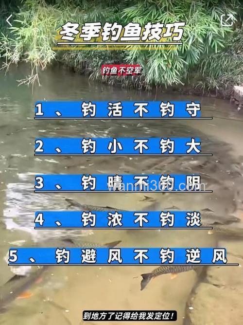 秋末钓鱼冷门技巧曝光,颠覆传统经验,渔获翻倍不是梦