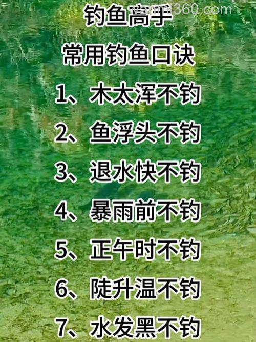 踏上钓鱼之旅,掌握成为高手的秘诀!